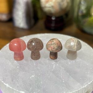 Mini crystal mushroom bundle